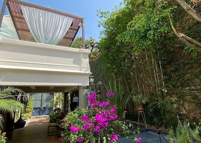 Condesa Mexico City